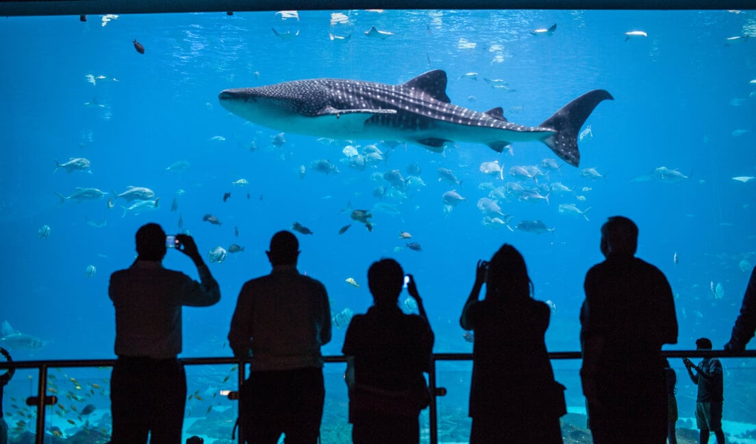 Georgia Aquarium Exceeds Sustainability Goals