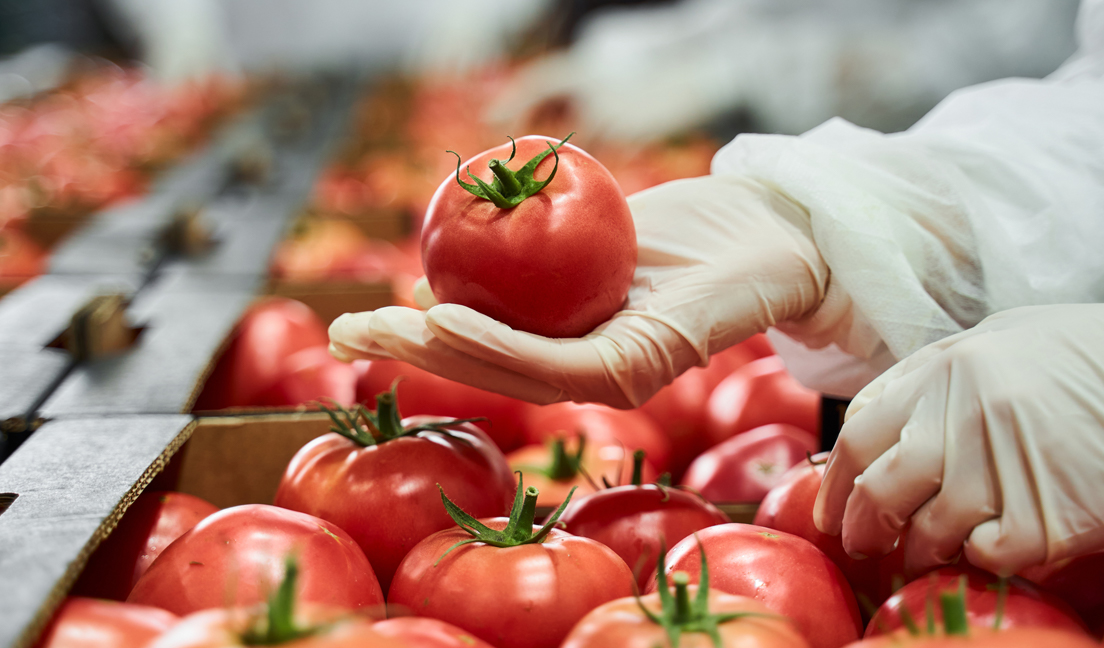 ozone-tomato-fresh-produce-disinfection