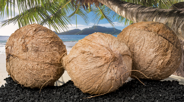AquaCarb® Granular Activated Carbon - Coconut Shell Based