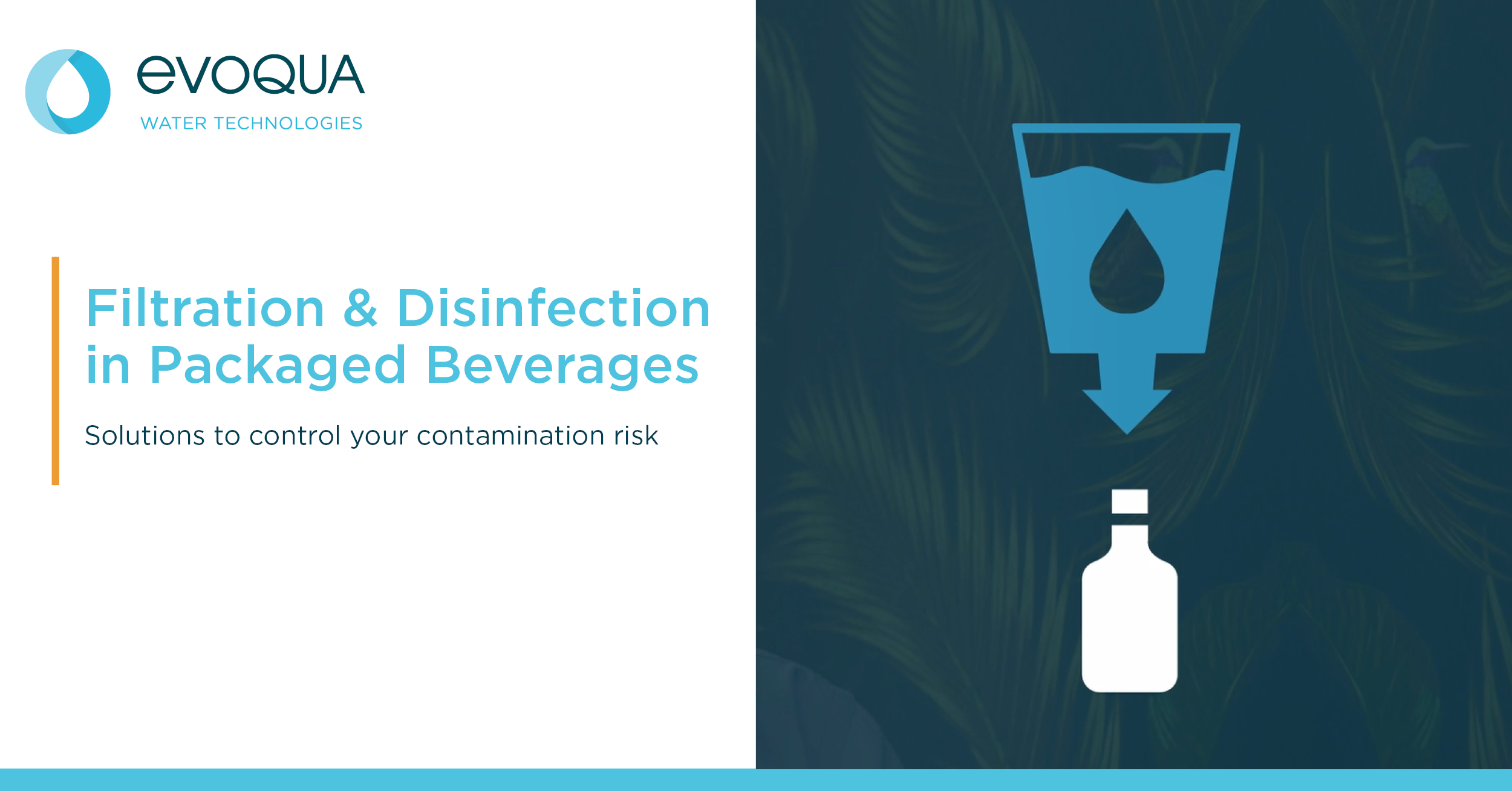 Filtration and disinfection in packaged beverages