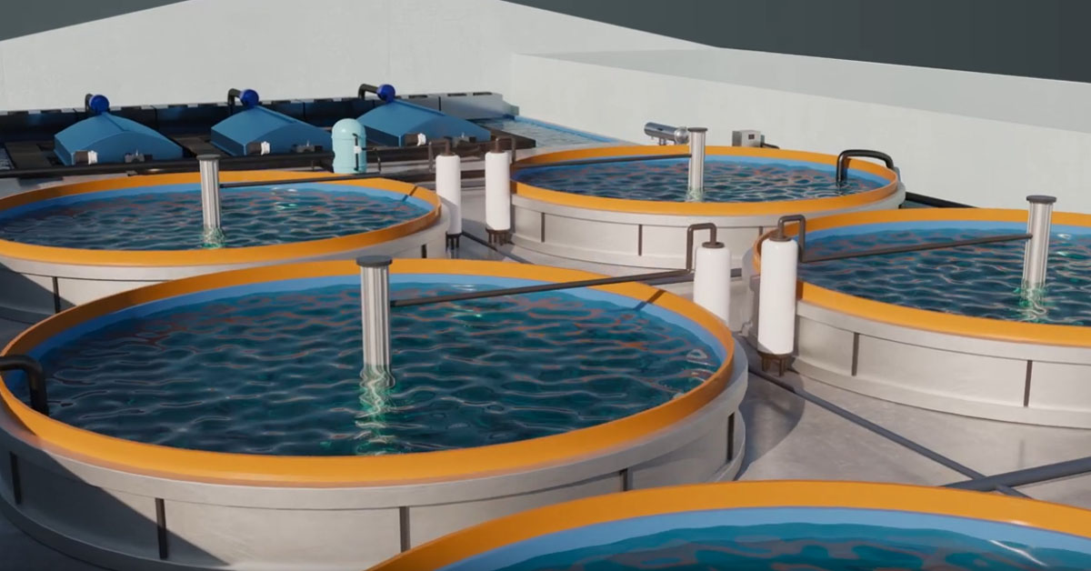 Filtration & Disinfection for Aquaculture